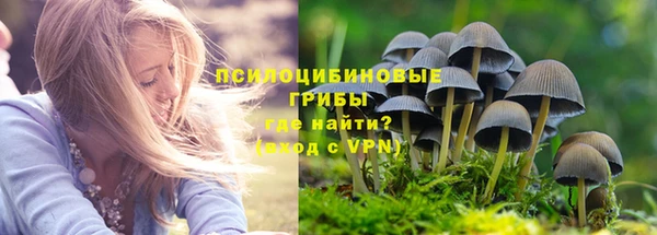 каннабис Беломорск