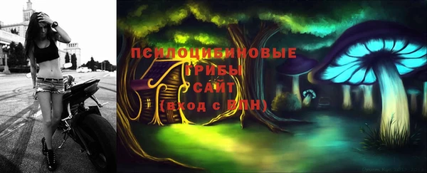 меф Белокуриха