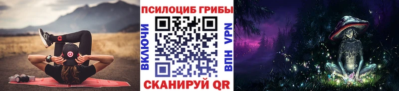 Псилоцибиновые грибы Psilocybine cubensis  Куровское 
