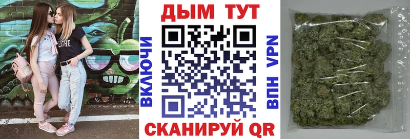 Канабис сатива  Куровское 